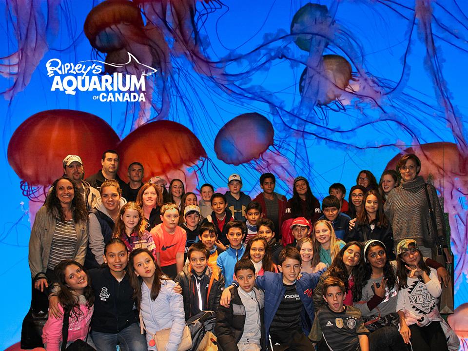 acuario en toronto