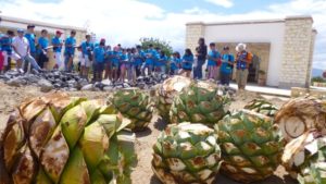 viaje de arte e historia Oaxaca