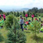 actividades para curso de verano